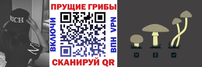 Псилоцибиновые грибы Psilocybine cubensis  blacksprut ССЫЛКА  Комсомольск 